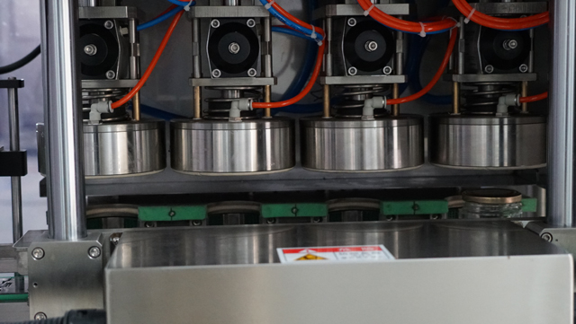 desen pentru vacuum capper.jpg