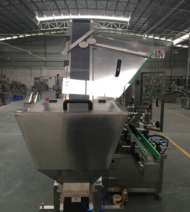 sistem de ridicare a capacelor.jpg