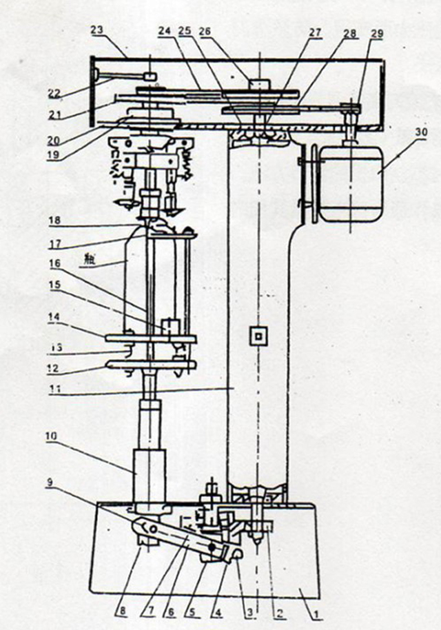desen din ROPP CAPPER.jpg